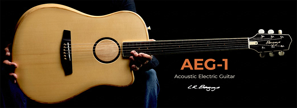LR_Baggs-_AEG1